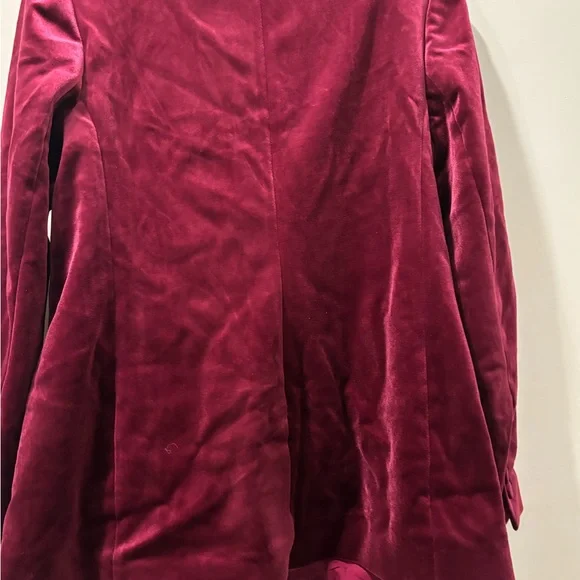 EXPRESS VELVET DOUBLE BREASTED BLAZER - Picture 3 of 4